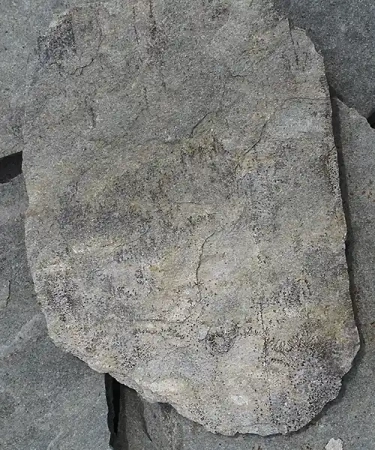Nášlapné kameny Gneis AG81